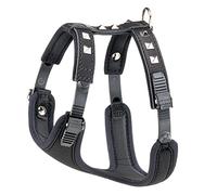 Harnais pour Chiens GIOTTO LUXOR SMALL, en Cuir Véritable avec Clous Argentés