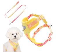 Harnais pour Chiens | Harnais de Poitrine pour Promenade | Veste Respirante et Réglable pour Randonnée Voyage en Voiture Parc Sports Petite Taille Extérieur