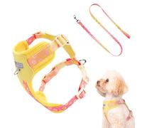 Harnais pour chiens - Harnais de poitrine pour promener le chien, collier réglable, respirant et anti-fugue pour animaux handicapés pour le travail de service de récupération d'animaux de compagnie de