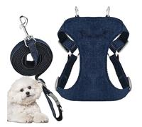Harnais pour chiens, respirant et à séchage rapide, boucle de sécurité | Harnais de marche pour chiens | pour chiots et petits moyens promenades extérieur jardin patio