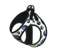 Harnais pour Chiot à Motif Myrtille, Ajustable, avec Clips pour Laisse, Harnais de Dressage et Gilet pour Animaux.