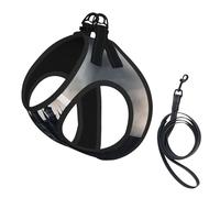 Harnais pour Chiot Ajustable avec Clip pour Laisse, Motif château de Conte de fées Sombre, Gilet de Dressage