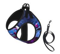 Harnais pour Chiot avec Joli Motif Guitare, réglable, avec Clips pour Laisse et Harnais d'éducation pour Animaux de Compagnie.