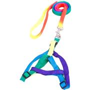 Harnais pour Chiot en Nylon Réglable, Laisse de Poitrine Colorée 1, 0cm | Chiot et Chien, Contrôle Confortable, Ajustement du Buste, Usage Quotidien et Fête du W nd