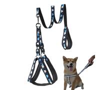 Harnais pour Chiot et Laisse, Laisse Réfléchissante À Traction pour Chiot, Harnais Lais Ajustable Confortable Antidérapant pour Chiens de Taille Moyenne et Grands Sécurité Animal
