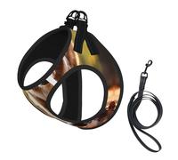 Harnais pour Chiots avec Empreintes de Pattes et Motifs d'os, Clips pour Laisse, Harnais de Dressage, Gilet pour Animaux
