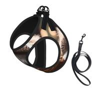 Harnais pour Chiots avec imprimé Koala endormi, réglable, Clips pour Laisse, Harnais d'entraînement pour Animaux de Compagnie