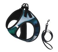 Harnais pour Chiots avec Motif Marin panoramique, Clips pour Laisse, Harnais d'éducation pour Animaux de Compagnie