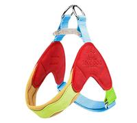 Harnais pour Chiots et Chats, Gilet à Mailles Souples, Harnais pour Chiens, Corde de Marche pour Animaux de Compagnie, Gilet imperméable pour Petits Chiens, traîneau à Chiens
