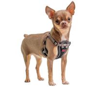 Halti Training Harnais pour chiot Anatomy – 4 réglages, liberté de mouvement – Taille XXS Gris