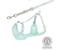 Harnais pour chiots juniors avec laisse 26-34 cm/10 mm menthe