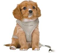 Harnais Pour Chiots - Trixie - Junior - Rembourré - Réglable - Laisse Incluse