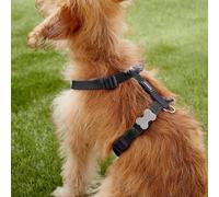 Harnais pour dognet dingo simple 30-48 cm orange
