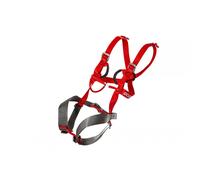 Harnais pour enfants Ocun Mojo unisexe rouge/gris