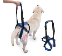 Harnais pour litière pour chien de grande taille, support de jambe arrière pour aider à la rééducation, pour les personnes âgées, blessées, arthritiques