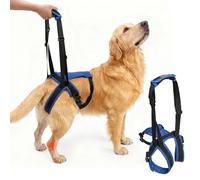 Harnais pour litière pour chien de grande taille, support de jambe arrière pour aider à la rééducation, pour personnes âgées, blessées, arthritiques, taille L