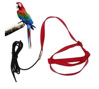 Harnais pour Oiseaux, 134 Cm Harnais Corde D'entraînement De Vol De Perroquet Réglable Laisse Élastique Corde De Nylon Anti-Morsure Sangle pour Activités De Plein Air pour Calopsitte Alexandrine(XL)