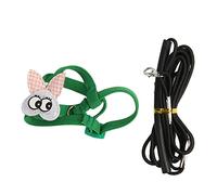 Harnais pour Oiseaux, Laisse de 2,2 m de Long, Ceinture élastique Super légère, poignée en Caoutchouc, Harnais Volant pour Perroquet avec Laisse pour Perroquet (25,5 cm)