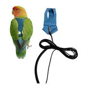 Harnais pour oiseaux, laisse de traction, pour perruches, perruches, oiseaux, pour entraîneurs, promenades, parc, visites vétérinaires, randonnée, pique-nique, lieux publics, jardin