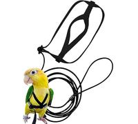 Harnais pour oiseaux, laisse réglable pour oiseaux, fournitures de dressage pour animaux de compagnie, corde en nylon volante anti-morsure en plein air pour conures perruches inséparables calopsittes