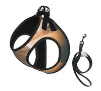 Harnais pour petit animal de compagnie imprimé pyramide égyptienne vintage | Ensemble de laisse de petite taille pour chiot en maille respirante et réfléchissante - Circonférence réglable
