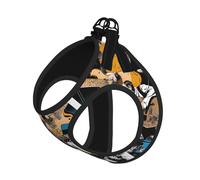 Harnais pour petit animal de compagnie Magic Electric Guitar Music, gilet respirant et réfléchissant pour chien, idéal pour les promenades, la randonnée et les activités de plein air. Motif imprimé in