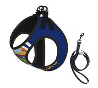 Harnais pour petit animal de compagnie - Petite taille, imprimé drapeau de l'État du Kansas réglable, parfait pour les promenades en plein air