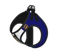 Harnais pour petit animal de compagnie - Petite taille, imprimé drapeau de l'État du Kentucky réglable pour chats et chiens, parfait pour la promenade en plein air