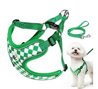 Harnais pour Petit Chien avec Laisse 1.5M, Step-in Anti-Traction Harnais pour Chiots Chiens, Réglable sans étranglement, Harnais en Respirant Maille Aérée avec Bande Réfléchissante(Vert S)