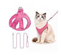 Harnais pour Petit Chien avec Laisse 255cm S - Harnais Anti-Traction Confortable - Design Step-in en Mesh Aéré - Idéal pour l'Éducation et la Marche - Rose