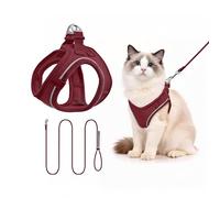 Harnais pour Petit Chien avec Laisse 255cm S - Harnais Anti-Traction Confortable - Design Step-in en Mesh Aéré - Idéal pour l'Éducation et la Marche - Bordeaux