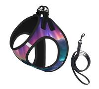 Harnais pour petit chien avec laisse - Imprimé aurores boréales sombres - Facile à promener - Pour dressage et promenade