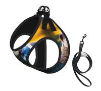 Harnais pour petit chien avec laisse - Imprimé loutres marron - Pas de fuite - Facile à promener - Pour dressage et promenade