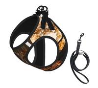 Harnais pour petit chien avec laisse - Motif arbre d'automne - Facile à promener - Pour dressage et promenade