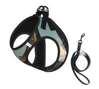 Harnais pour petit chien avec laisse - Motif bateau viking - Pas de fuite - Facile à promener - Pour dressage et promenade