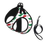Harnais pour petit chien avec laisse, motif drapeau de la Hongrie, facile à promener, pour dressage et promenade