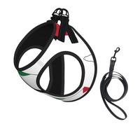 Harnais pour petit chien avec laisse - Motif drapeau de la Palestine - Facile à promener - Pour dressage et promenade