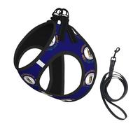 Harnais pour petit chien avec laisse - Motif drapeau de l'État du Kentucky - Pour promener facilement le dressage et la marche
