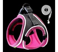Harnais pour petits chiens - Gilet de sécurité réfléchissant de sécurité pour la marche de nuit, harnais pour chiens et animaux domestiques, haute visibilité pour les types de climats
