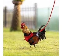 Harnais pour poule - Gilet confortable en maille respirante | Harnais respirant réglable avec laisse | Petit gilet pour animaux de compagnie pour jardin, rue, oies de canard, poule coq avec corde pour