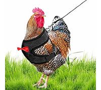 Harnais pour poule - Gilet confortable en maille respirante | Harnais respirant réglable avec laisse | Petit gilet pour animaux de compagnie pour jardin, rue, oies de canard, poule coq avec corde pour