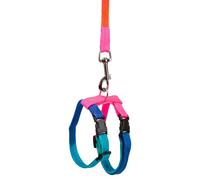 Kerbl Ensemble Harnais et laisse pour lapins Laisse 140cm, ajustable