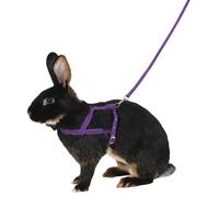 Harnais Pour Rongeurs Kerbl Agility M Mixte Violet