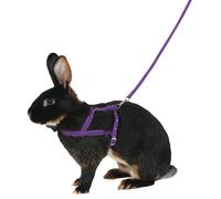 Harnais pour rongeurs Kerbl Agility Violet L
