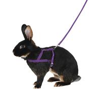 Harnais pour rongeurs Kerbl Agility Violet M