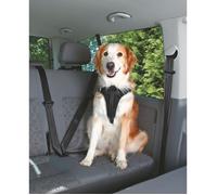 Harnais pour voiture - Dog Protect - S-M - Nylon robuste - Confort matelassé - Sécurité renforcée