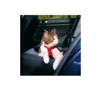 Harnais Pour Voiture Pour Chats, 20-50 Cm/15 Mm, Rouge - Mon Animalerie