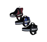 JULIUS K-9 Harnais K9 Power, Taille: 2XL/3, Aquamarine