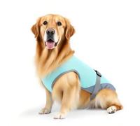Harnais Rafraîchissant pour Chiens | Veste Harnais Refroidissante pour Chien - Veste Anti-UV Réglable Taille S M pour Promenade Voyage Plage Randonnée Extérieur