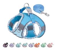 Harnais réfléchissant bleu - PetSafe Pro - Taille XXS - Respirant - Anti-fugue - Pour petits chiens et chats
